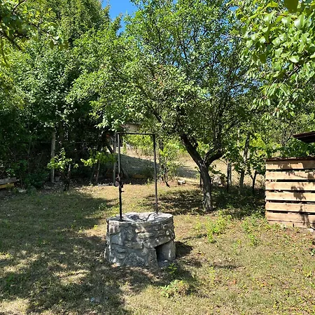 Hébergement de vacances Mandula Haz *